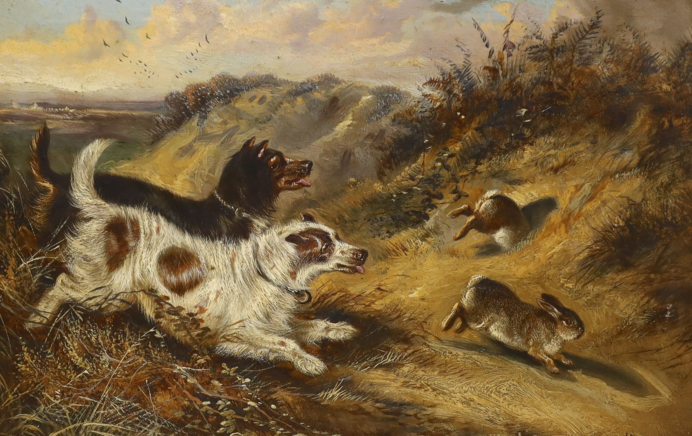 Robert Cleminson (1864-1903), oil on canvas, Terriers chasing rabbits, signed, dated 1879, 28 x 44cm